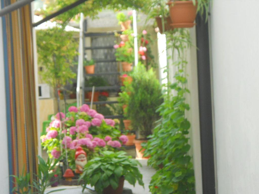 Apartamento Dom Eli Pomorie Exterior foto